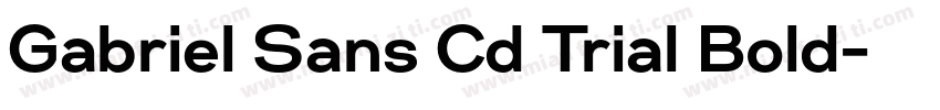 Gabriel Sans Cd Trial Bold字体转换